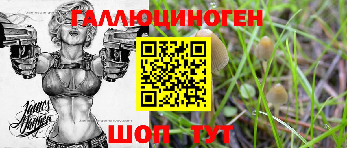 Псилоцибиновые грибы мицелий Удомля